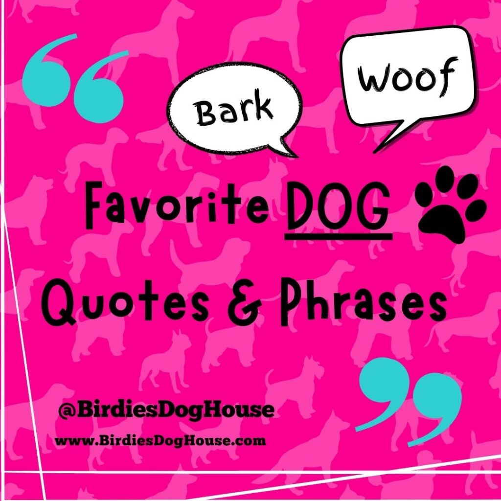 My Favorite Dog Quotes!