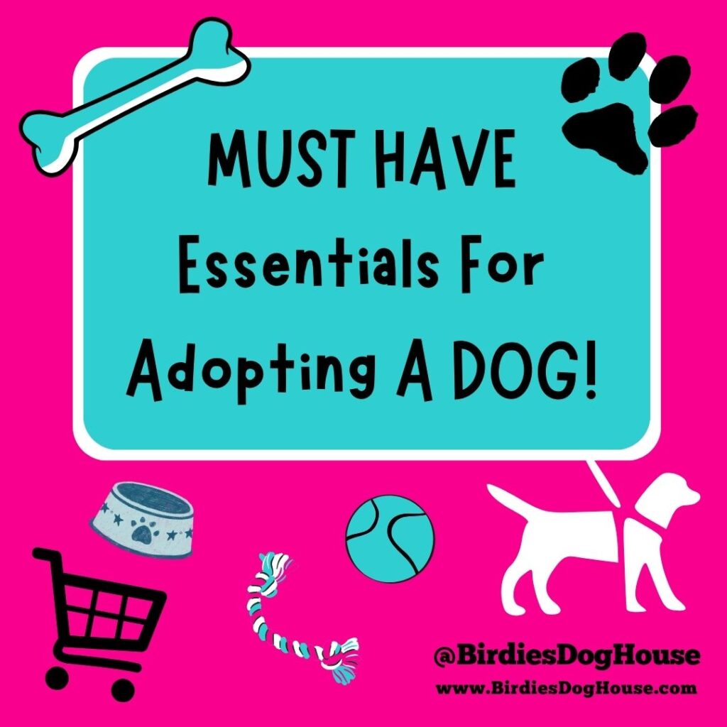 MUST Have Items for Adopting A Dog!
