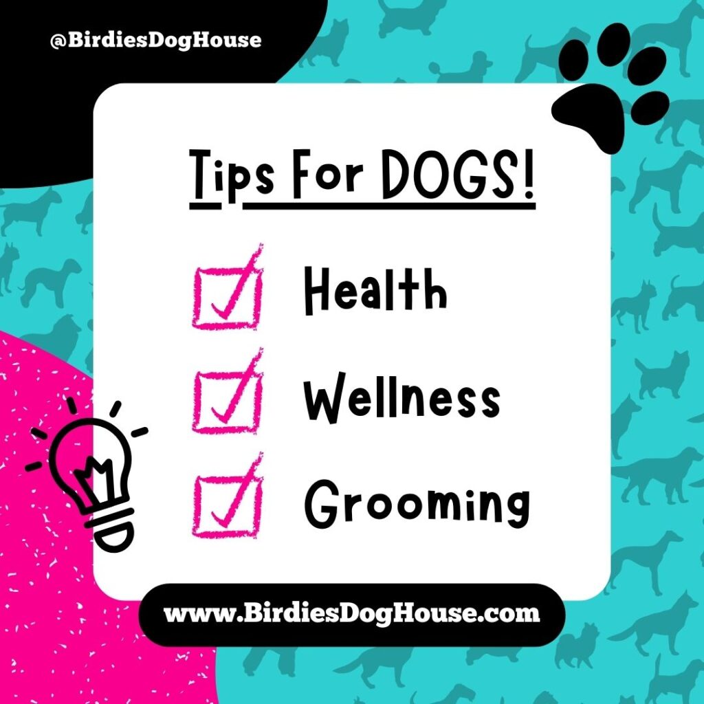 Dog Care 101 Checklist: Tips For Dogs Health, Wellness + Grooming Essentials