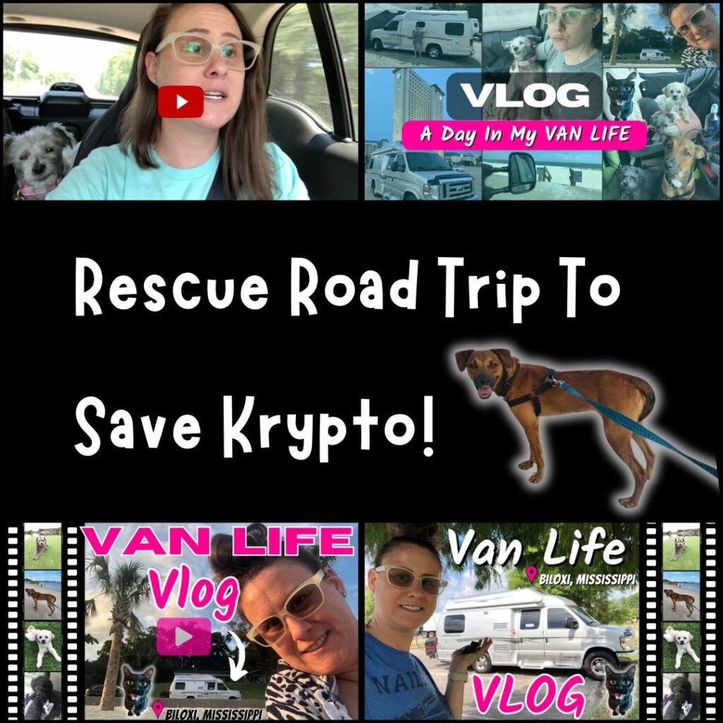 Dog Rescue Road Trip To Save Krypto Paws!