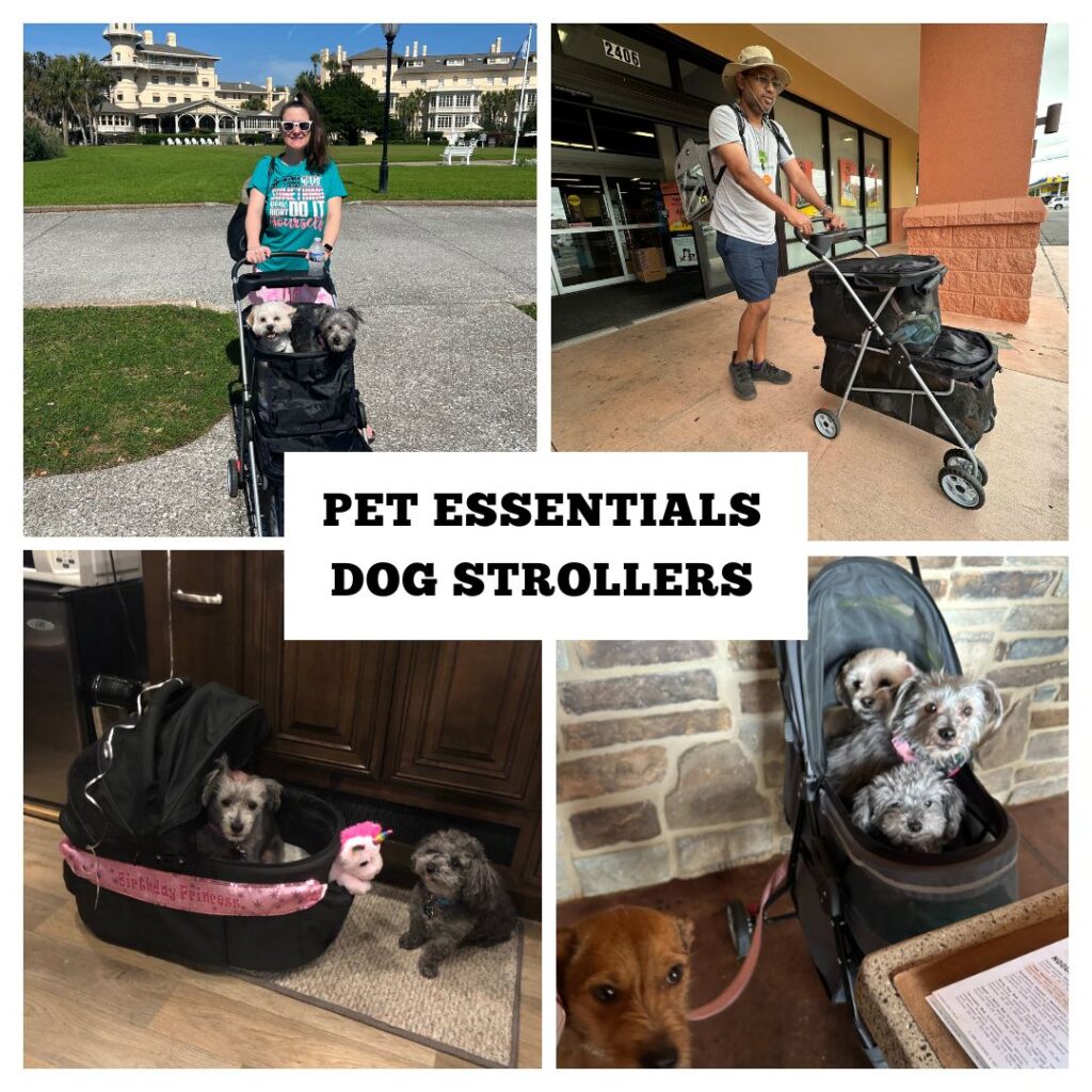 Pet Essentials: Best Strollers For Dogs & Cats