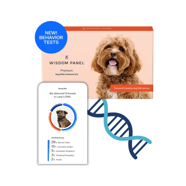 Dog DNA Test (by Wisdom Panel)