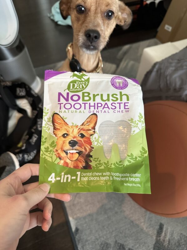 No Brush Toothpaste for Dogs